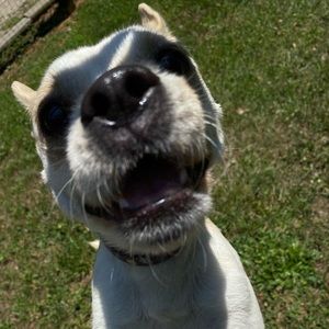 Meet your Posher, Morgan